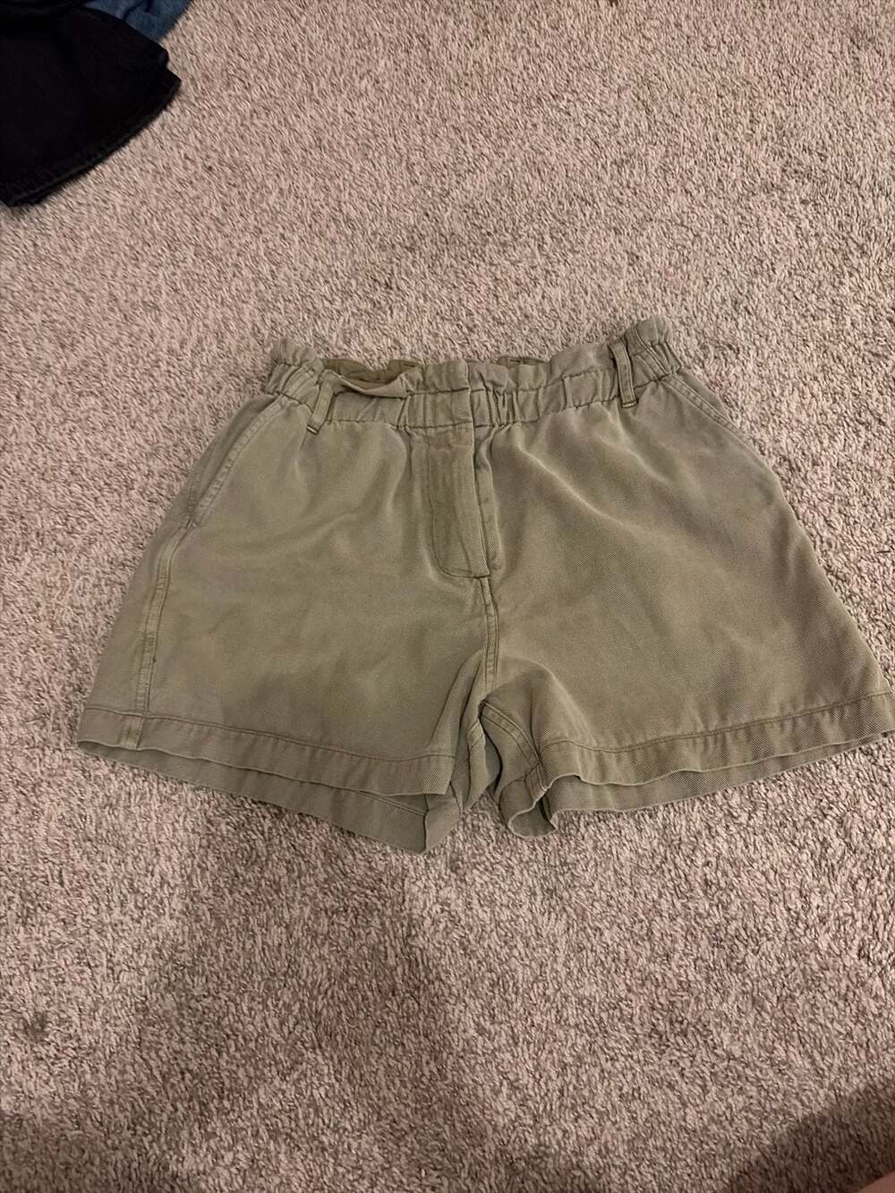 Rails Foster Paperbag Waist Shorts in Vintage Sage, Size S